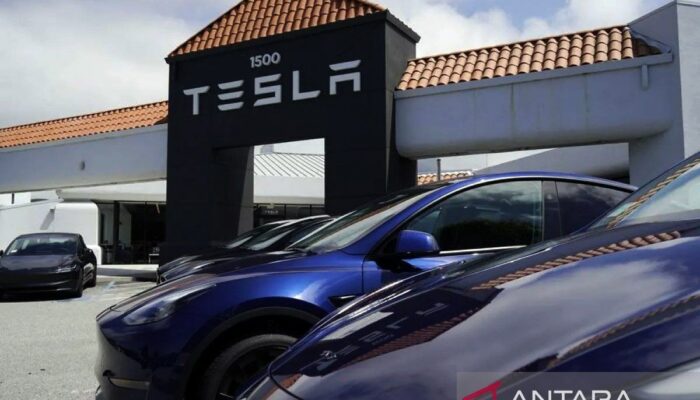 Penjualan Tesla di Jerman anjlok 60 persen pada Juni 2025